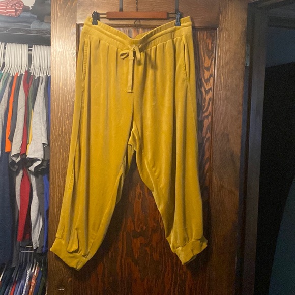 Anthropologie Pants - NWOT. Anthropologie yellow velvet size 2x